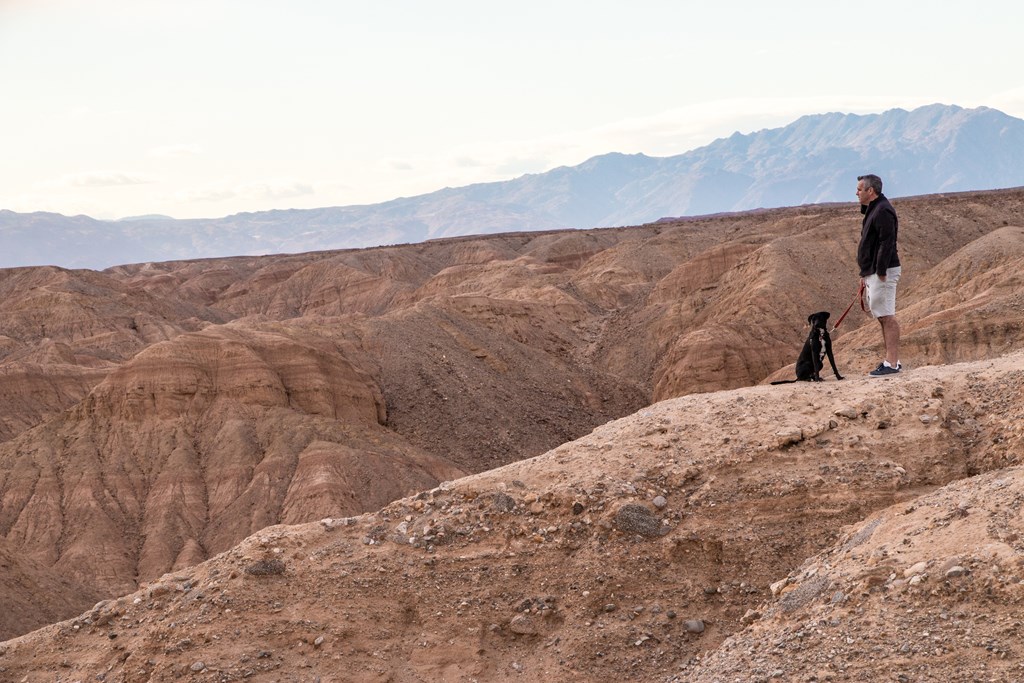A man and his dog are looking out over Badlands National Park.