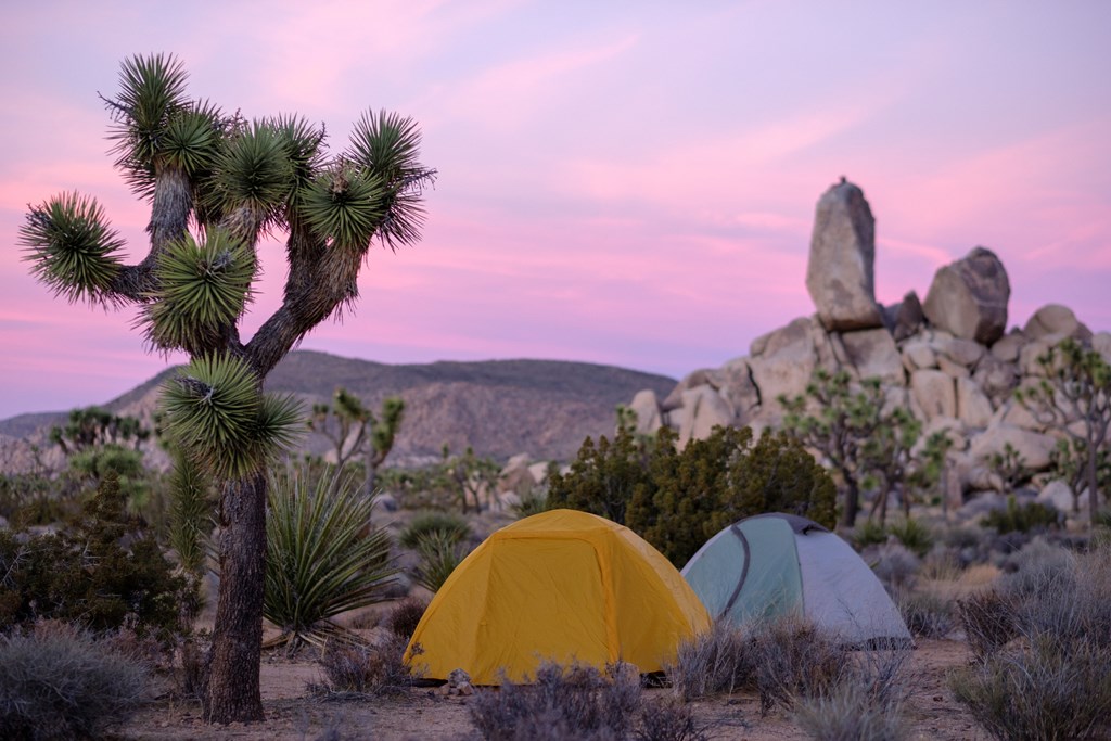 Tents in Joshua Tree National Park at Sunset.