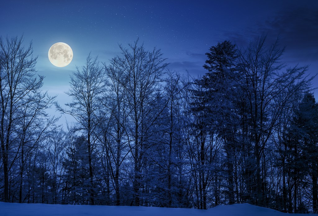 A snowy meadow surrounded by trees sits below a full Moon.